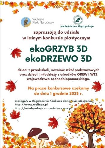 eko-grzyb-e1698908261694