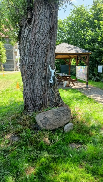 IMG20250626111519