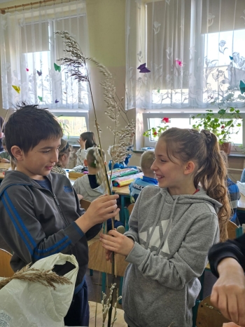IMG-20260323-WA0049 (1)