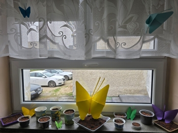 IMG-20260324-WA0054