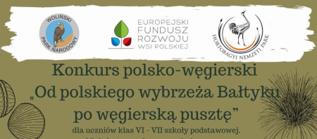 JUŻ KOLEJNE ZWYCIĘSTWO W MIĘDZYNARODOWYM KONKURSIE