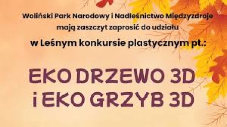 KOLEJNY SUKCES NASZEJ SZKOŁY W KONKURSKIE EKO GRZYB I EKO DRZEWO