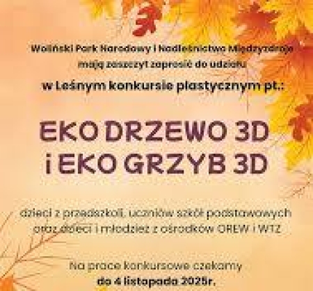 BRAWO DZIEWCZYNY! KOLEJNE ZWYCIĘSTWO W KONKURSIE