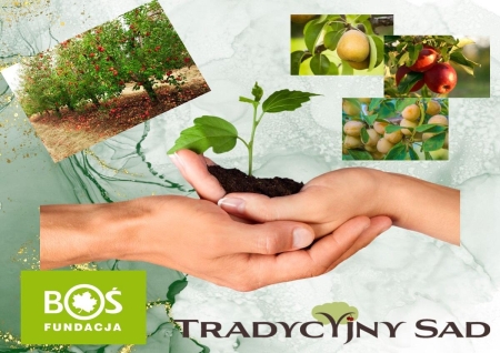 NASZA SZKOŁA OTRZYMAŁA GRANT  W OGÓLNOPOLSKIM PROJEKCIE EDUKACYJNYM ,,TRADYCYJNY SAD''